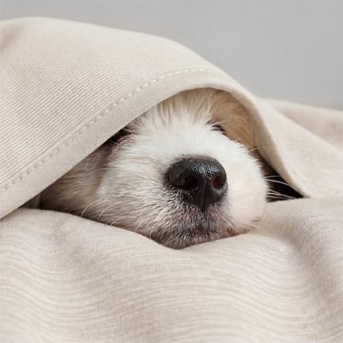Image of Bedsure Oat Beige Cooling Blanket for Hot Sleepers - Summer Cold Throw Blanket for Bed, Arc-Chill Lightweight Summer Bedding, Cool Thin Ice Cold Cooled Throws with Rayon Derived from Bamboo, 50x70