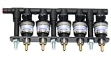  Keihin Einspritzrail Prins VSI 5-Zyl - Braun 100cc (ab 32.5KW / Zyl.)