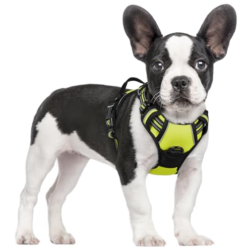 Image of rabbitgoo Dog Harness No Pull with 2 Leash Clips, Adjustable Soft Padded, Reflective Oxford No Choke Pet Vest with Easy Control Handle for Small Dogs, Wild Lime,S