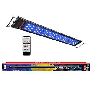 Aquatop SkyAqua Marine LED Saltwater Aquarium Light, 14000K Spectrum – Fits 30-36-Inch Tanks, 3 Position Toggle Switch & Included Remote Control, Aquarium Lights for Fish Tanks, UL & CSA