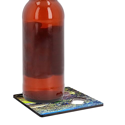 Sous verre décapsuleur poisson clown cadeau idéal thématique mer