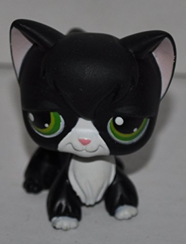 Chest (Tuxedo)) - Littlest Pet Shop 