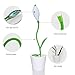 iEGrow Kids Desk Lamp, cute classroom table plant lamps for Child, Students & Adults, mini green Flexible USB Touch LED Lamp with 3 Level Dimmer, Pencil Holder Lamp