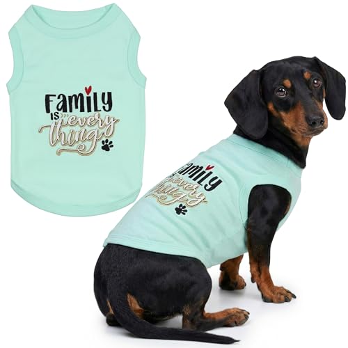 Parisian Pet ���j �h�b�OT�V���c - �h�J���ꂽ�uFamily is Everything �v�h�b�O�A�p���� - �ʋC��������y�ʂȂ�񂿂�� - �m�[�X���[�u���pT�V���c - ��^���p�̐���@�Ő􂦂�V���c - XL