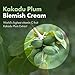 TOSOWOONG Kakadu Plum Blemish Cream, Dark Spot Remover for Face Cream, Kakadu Plum 600,000ppm, Niacinamide, Adenosine, Betaine, Dark Spot Corrector, Vitamin C, Korean Skin Care, 50g, 1.76 oz.