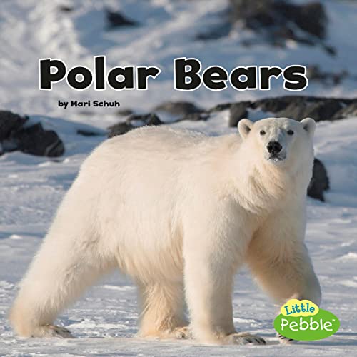 Polar Bears by Mari Schuh episode artwork