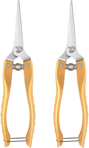 Tijeras para plantas, 2 piezas, hojas de rosa, floristería, tijeras de flores principales, tijeras de podar Sichuan para jardinería, tijeras de