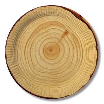 Preisvergleich Produktbild Pappteller in Holzoptik 23 cm 10er Pack