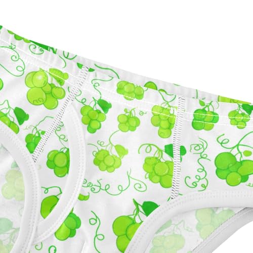 Fruit Grape Toddler Boy's Underwear 2T 23022084