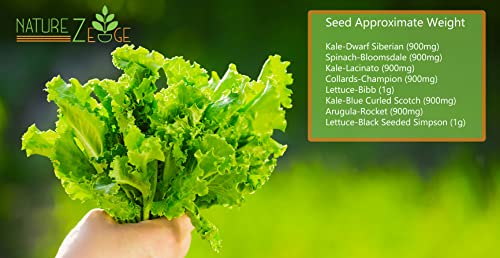 Heirloom Lettuce Mix And Greens Garden Seeds, 8 Varieties, 5300 Seeds, Hydroponic Seeds, Includes Bibb Butter Lettuce Seeds For Planting, Kale, Arugula Seeds, Spinach, Collards, And More, Non-Gmo… #TOP2