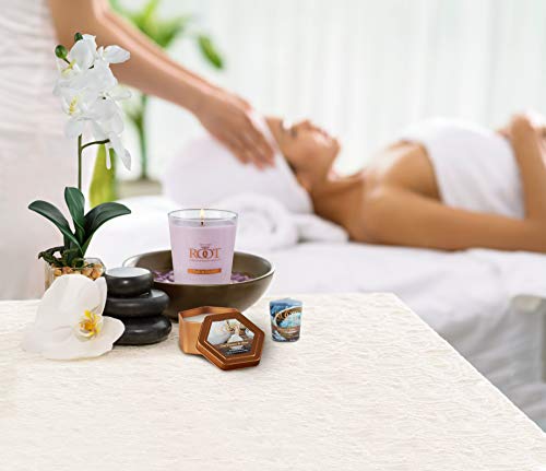 Root Candles Long Lasting Beeswax Blend Scented Candle Made In The Usa, Large Veriglass, Teak & Orchid #TOP6