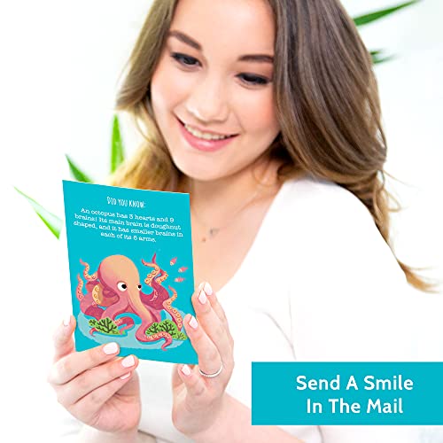 T Marie 40 Animal Fun Fact Postcards - Bulk Thinking Of You Postcard Pack For Kids, Students, Friends, Teacher, And More - Say Hello, Thank You Or I Miss You With Colorful Note Cards #TOP3