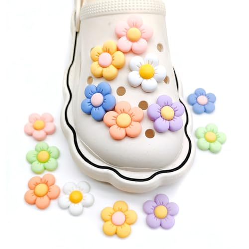 Adornos de Zapatos Decoración, 14 Piezas, Accesorios Resistentes y Ligeros, Adornos para Zapatos de sandalias de zueco, Fijan Muy Bien, Rápidos de Poner y Quitar, Para Zapatos, Mujer Hombre Niños