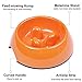 SUPERDESIGN Slow Feeder Dog Bowl Cat Bowl 1 Cup Slow Feeding Dog Bowl for Small Medium Breed Anti Gulping Healthy Eating Interactive Bloat Stop Fun Alternative Non Slip Puzzle Dog Food Bowl, Orange