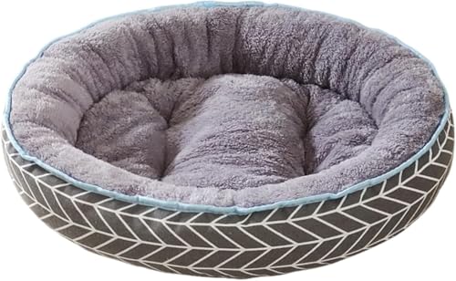 Tuyiutm  xbh ی^ ybgxbh ^ ybgxbh ӂӂ ybg}bg ~ L 􂦂 ybg}bg  ^ ybg  ybgxbh  L k pbLO hveN^[ (F,XLi70cm*60cmj)