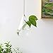 Glass Hanging Planter Plant Terrarium Hanging Propagation Station Container for Hydroponic Plants Home Garden Decor 3 Type