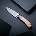 BucknBear Custom Handmade Fixed Blade Damascus Hunting Knife with Leather Sheath - Drop Point (Utility) (Olivewood/G10) Handle