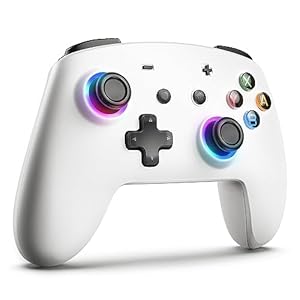 ECHTPower Switch Pro Controller, Wireless Switch Controller with LED Light/Dual Vibration, Remote Gamepad for Switch/PC/IOS/Android, Switch Turbo Controllers with Macro Buttons/Gyroscope