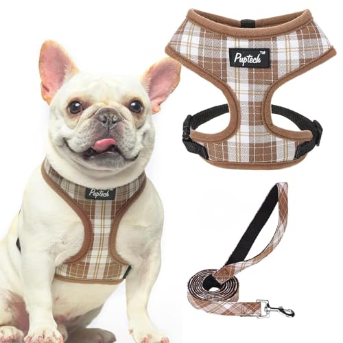 PUPTECK Soft Mesh Dog Harness and Leash Set Pet Puppy Cat Comfort Padded Vest No Pull Harnesses...