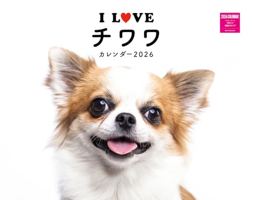 I LOVE チワワカレンダー 2026（月めくり/壁掛け）(ネコ・パブリッシング) (カレンダー2026) (カレンダーシリーズ)のサムネイル