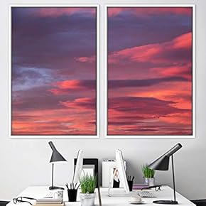 signwin 2 Piece Framed Canvas Wall Art Colorful...