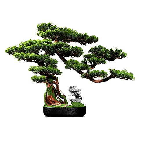 tFCNvg V~[V EFJ pC ~ rO[ fXNgbv O[ vg A |[` lHA gDW i lH~͂ƂčœK