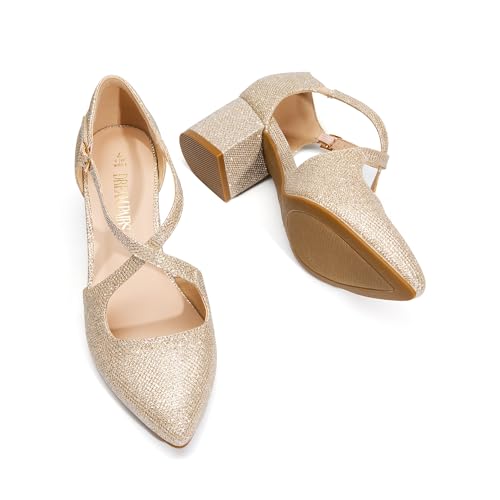 Image of DREAM PAIRS Women's Chunky Heels Dress Pumps Closed Pointed Toe Comfort Cross Strap Block Heel Shoes for Party Dance Wedding