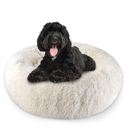 Aspand Cama de cão e gatos com borda elevada e enchimento de algodão macio, 76 cm - cama confortável e aconchegante para animais de estimação - capa de pelúcia longa e macia - base antiderrapante,