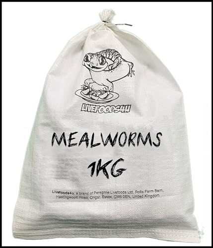Livefoods4u Live Mealworms 1kg Bulk Bag 20-30mm | High Protein Reptile Food | WiId Birds