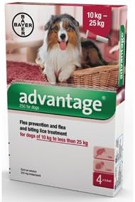 Advantage Spot On Flea Treatment 250 Large Dogs 10-25kg, 4 pipettes ...