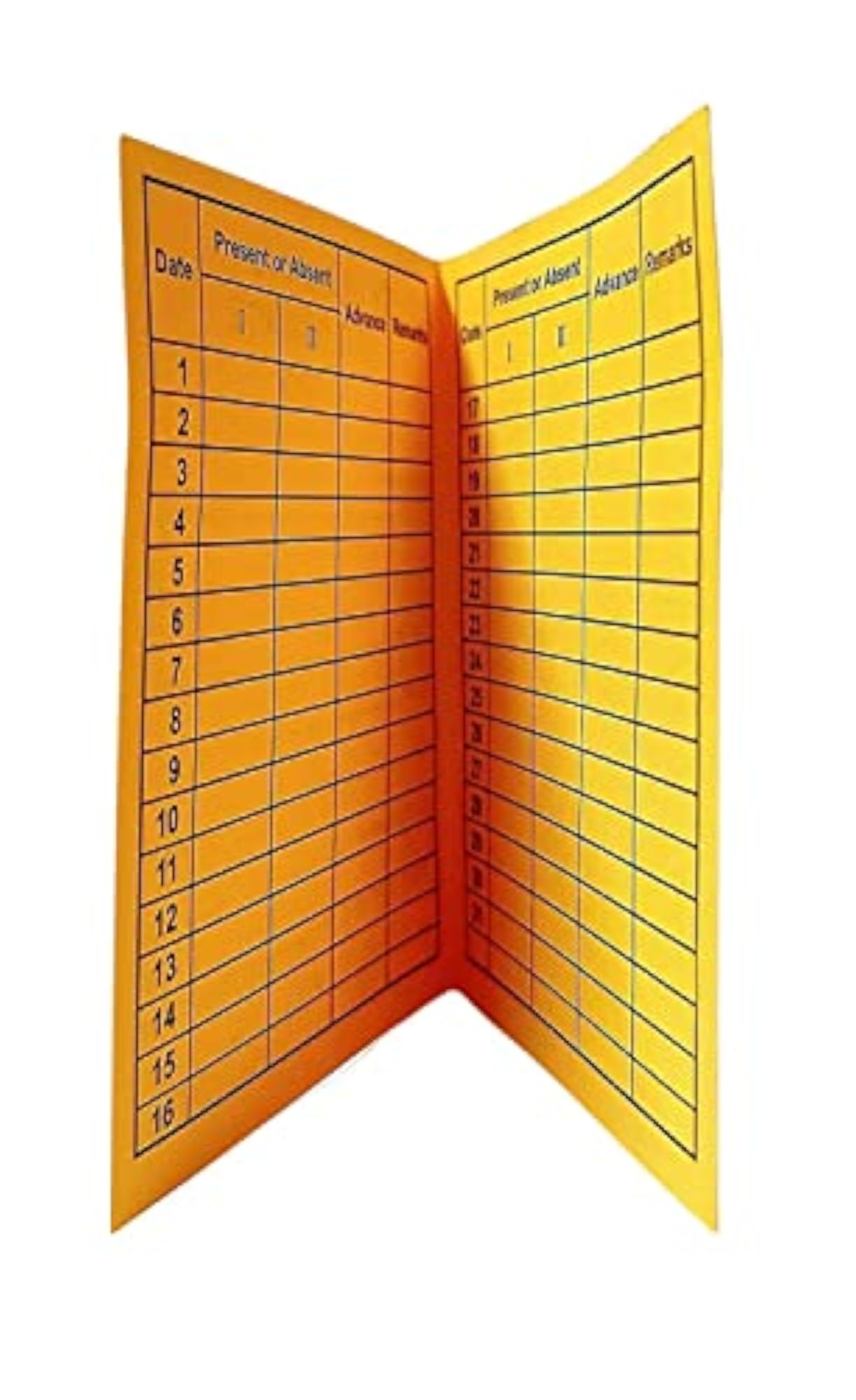 Daily Attendance Report for Payroll
