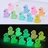 100pcs Mini Resin Duck,15 mm Dollhouse Decor Glow in The Dark for Aquarium Decor Micro Fairy Garden Landscape Hide,Seek Party Toys,Easter Basket Stuffer, Gift for All Ages (4 Green Mix)