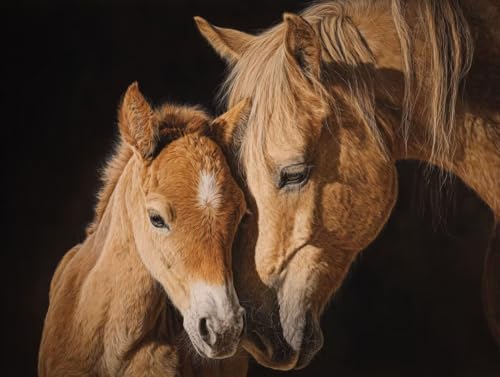 l̂߂̐GLbg DIY Fn GZbg 40x60cm ANG̋ M uV/t[X XgX  v[g- W͂ƃbNXʁACeAƂāA蕨ɍœKA]gɂAfR[VAȒPAlCAMtg