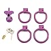 Male Flat Protective Cage with 4 Rings, Lightweight Flat Cage for Men -USHA18a (Purple, Negative 4)