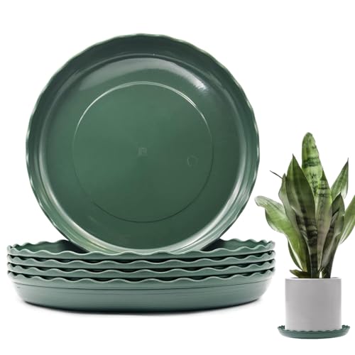 lylqmy Lot de 5 soucoupes pour pots de fleurs, plateaux d'égouttement pour plantes d'intérieur/extérieur, soucoupes de pot de fleurs, protection de surface pour plantes domestiques – (vert) 27 cm
