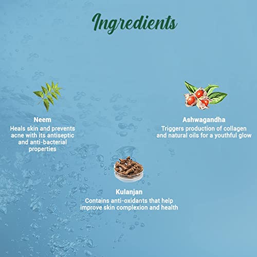 Image of Biotique Fresh Neem Pimple Control Face Wash| Ayurvedic and Organically Pure| Prevents Pimples |100% Botanical Extracts| Suitable for All Skin Types | 200mL