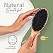 Belula Boar Bristle Hair Brush - Hair Brushes for Women & Mens Hair Brush, Detangler Brush, Hairbrush, Detangling Brush for Long, Curly or Any Type of Hair.