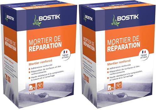 Bostik - Mortier de Réparation - Intérieur et Extérieur - Sol Et Mur - Scellement courant -1 kg (Lot de 2)