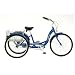 Schwinn Meridian Adult Trike, Three Wheel Cruiser Bike