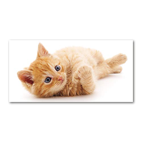Dosseret en verre pour cuisine splashback orange motif chat Tulup 120x60