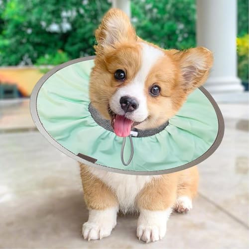 Collar de recuperación para perros ajustable que alivia el postoperatorio 4