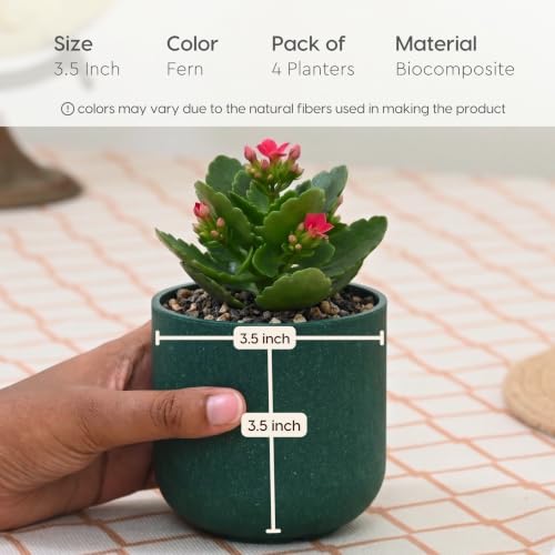 Image of Eha Earth-Friendly Terrapod Planters for Home Decor | 3.5 Inch, Pack of 4 | Small Plant Pot Made with Rice Husk Biocomposite | Flower Pot for Living Room | Fern