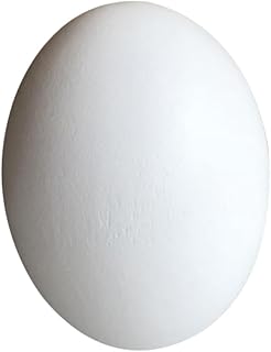 ifundom 10Piezas Huevos de Pascua de Madera Bricolaje de Pintura y Graffiti Infantil Decoración de Pascua Color