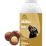 Riolino mit der Pfote direkt ins Herz