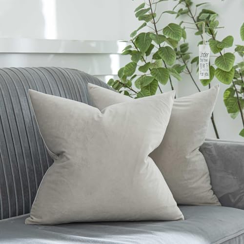 QUAFOO Cashmere Decorative Velvet Throw Pillow Covers 24x24 inch Set of 2 with Zipper Luxury Soft Solid Square Cushion Covers Case for Sofa Couch Bed Living Room by QUAFOO - Used condition - US$17.98
