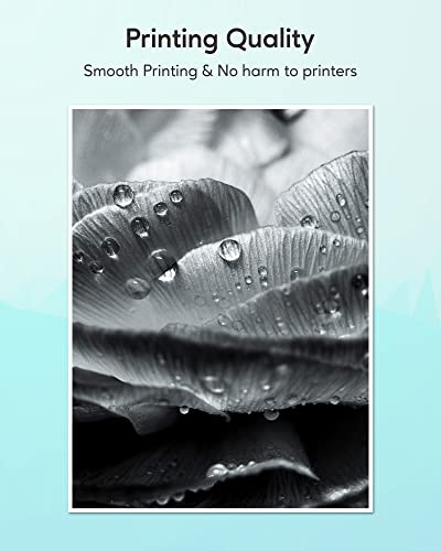 Sepeey Compatible For Canon 137 Black Toner Cartridge, Use With Canon Imageclass Mf216N Mf227Dw Mf236N Mf249Dw Mf242Dw Mf244Dw Mf247Dw Mf229Dw Mf232W Mf212W D570 Lpb151Dw Printer, 2Pack Replacement #TOP1