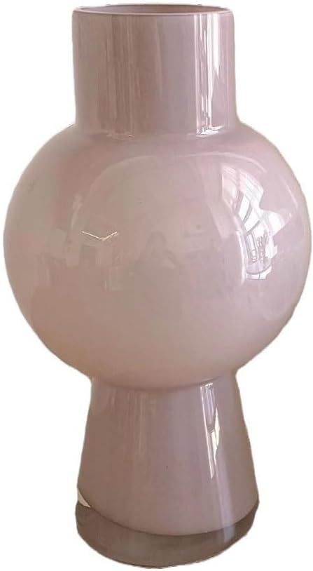 Dining Table Decor Simple Big Belly Hydroponic Flower Vase Living Room Entrance Glass Decoration Kitchen Decor(B)
