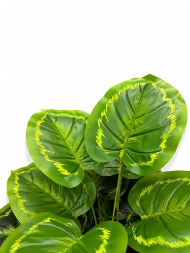 Image of Cocco.BUA Artificial Plant with Black Pot, 18 Leaves, 76 CM (2.5 Feet) (Calathea Orbifolia Plant)