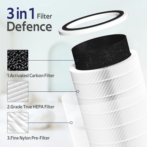 Filtre Core 400S contre odeurs et poils animaux pack double rechange