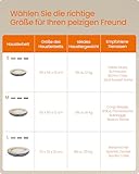 Feandrea Hundebett, Hundekorb, Katzenbett, Donut, Ø 55 cm, dunkelgrau PGW055G01